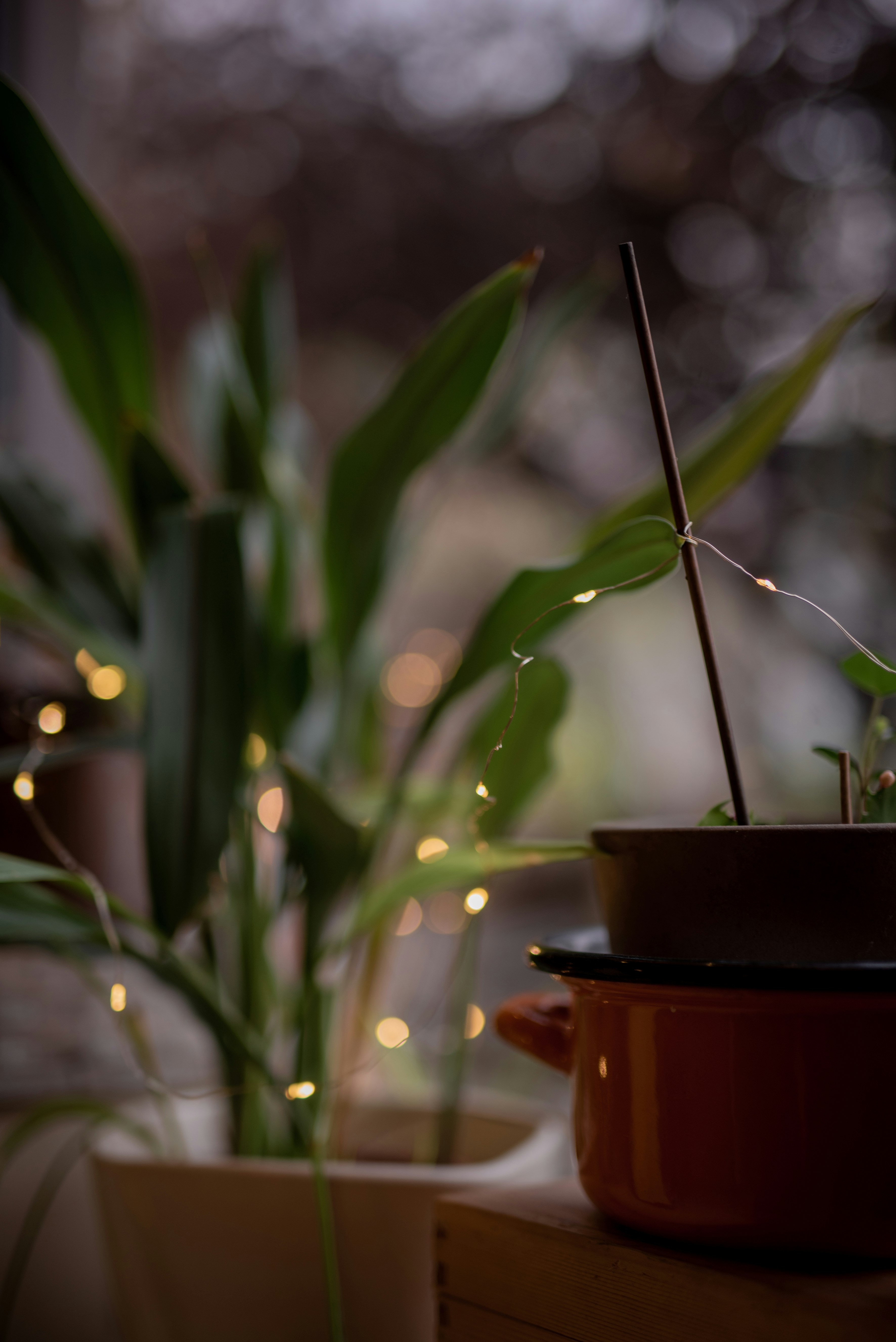 water drop on brown plant pot